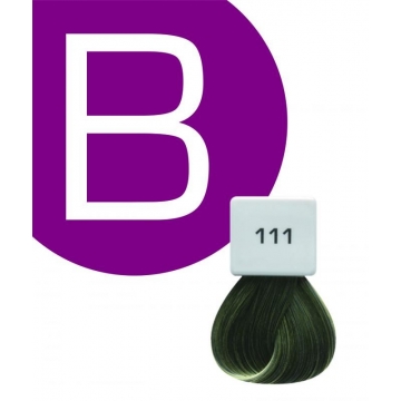 Farba na vlasy Berrywell 111